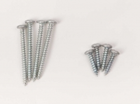 Decorative Screws, Platinum Finish